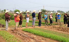 Tra Que Farmer Tour